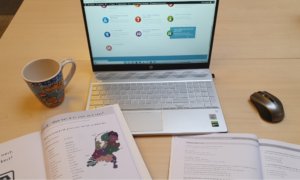 E-learning at Taalthuis